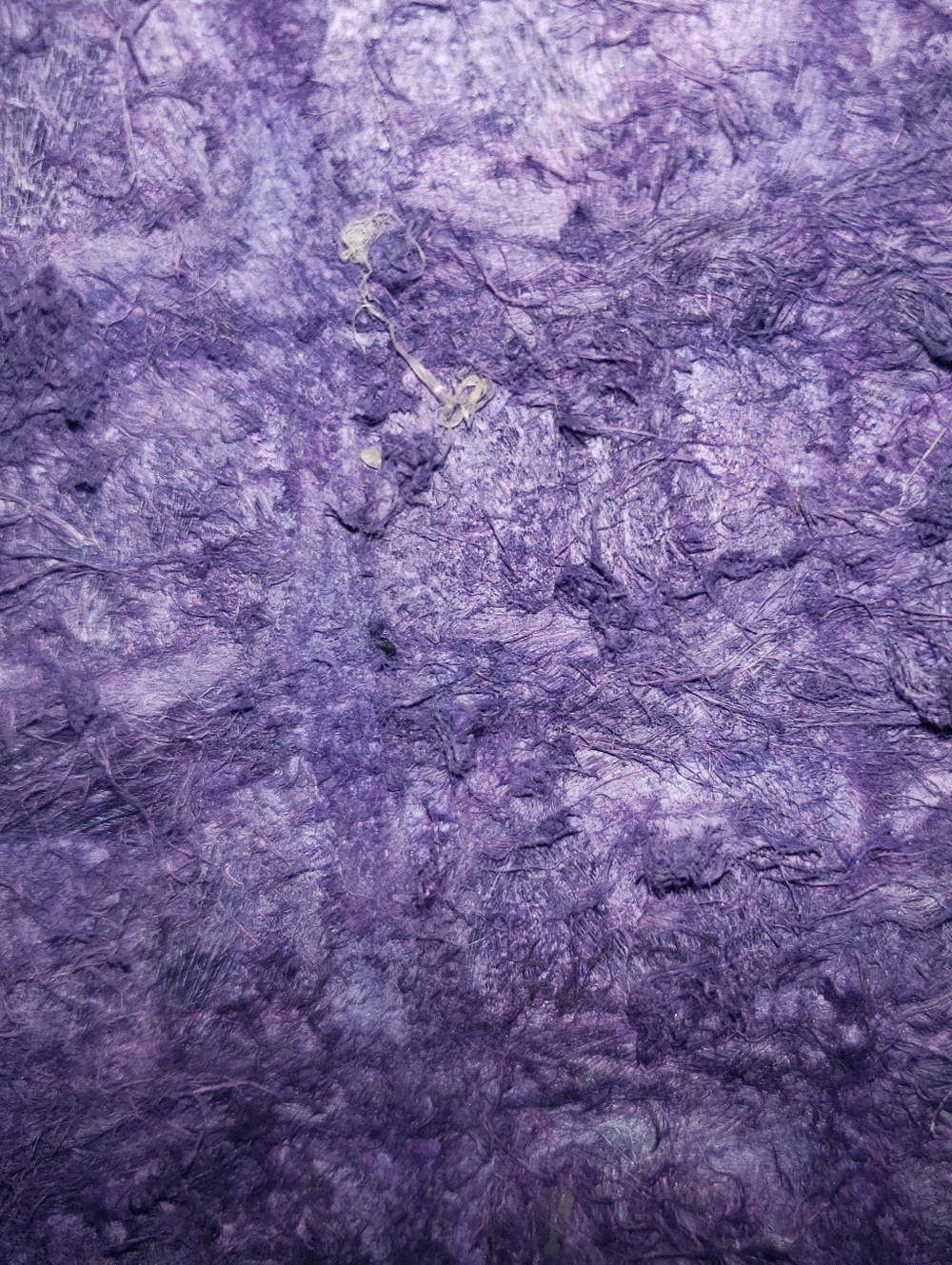 Genuine Crocodile Skin Corset Lilac Purple Belt - Picture 16 of 16